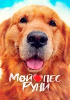  Мой пёс Руни смотреть онлайн (2023) бесплатно в HD
