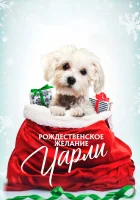  Рождественское желание Чарли смотреть онлайн (2020) 