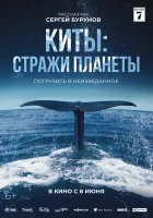  Киты: Стражи планеты смотреть онлайн (2023) бесплатно в HD