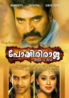  Неустрашимый Раджа смотреть онлайн (2010) 