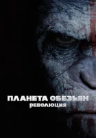  Планета обезьян: Революция смотреть онлайн (2014) 