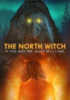  Северная ведьма смотреть онлайн (2024) 
