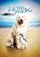  По кличке «Чудак» смотреть онлайн Чудак (2015) 