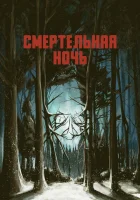  Смертельная ночь смотреть онлайн (2017) бесплатно в HD